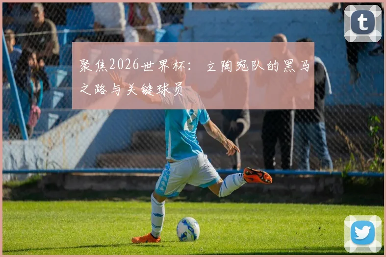 聚焦2026世界杯：立陶宛队的黑马之路与关键球员