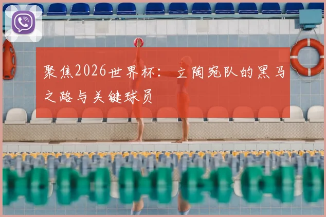 聚焦2026世界杯：立陶宛队的黑马之路与关键球员